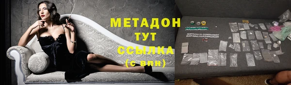 шишки Покачи
