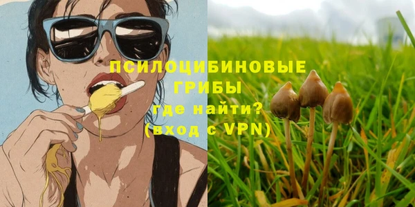 амф Алексеевка