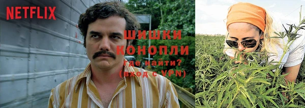 молекула духа Алзамай